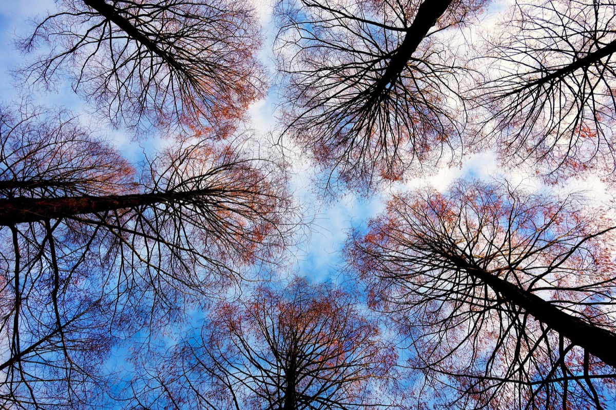 11.1% GDP: Mauritius's Vital Financial Sector Role