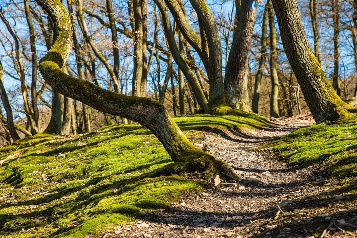 Family hiking trail in Mauritius