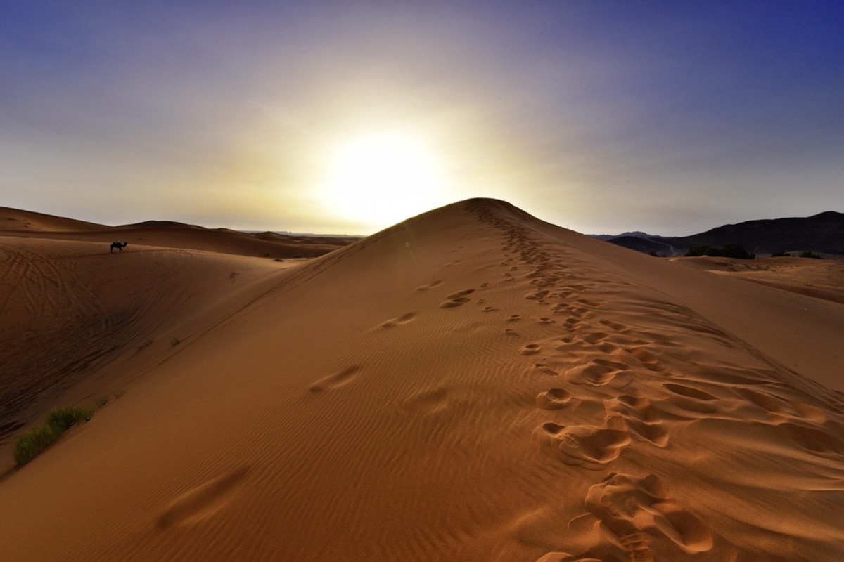 deshoro de morocco