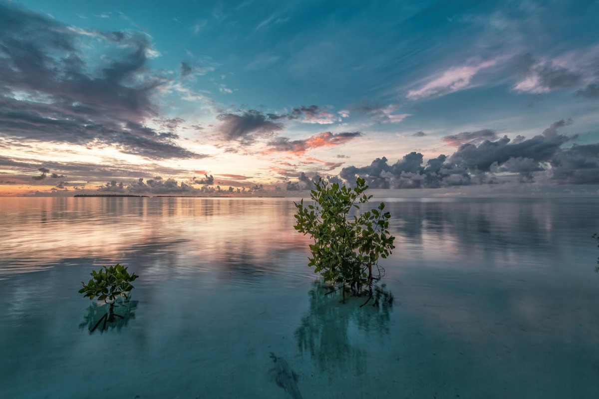 coucher de soleil île tropicale