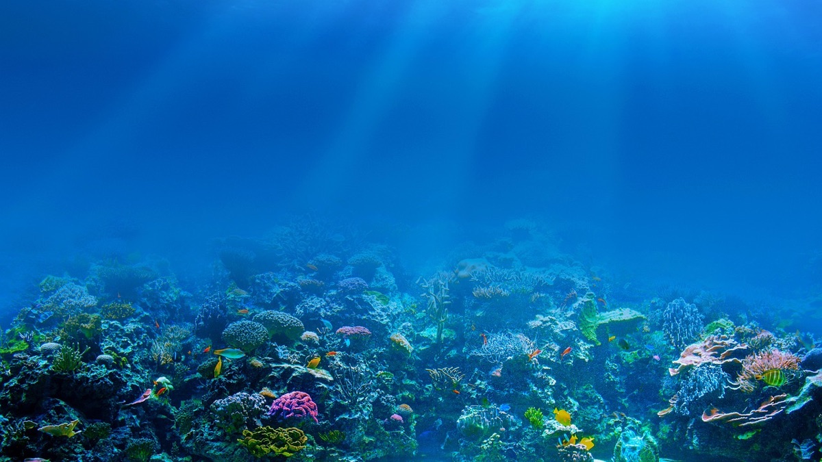 equipamento de snorkel com recifes de corais