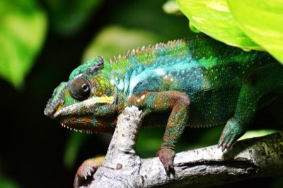 Mauritius Travel Timing: Dry vs. Wet Season Deep Dive