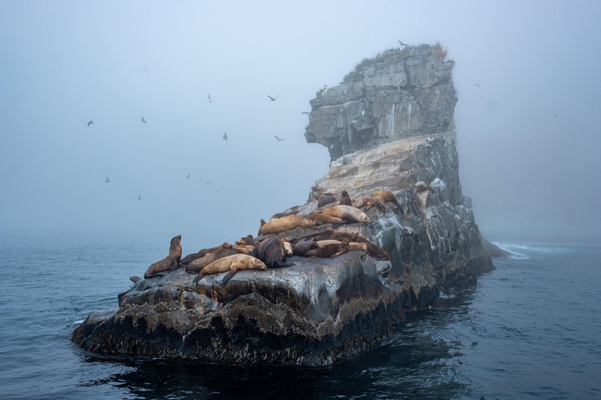 Un ciel nuageux avec une île distante