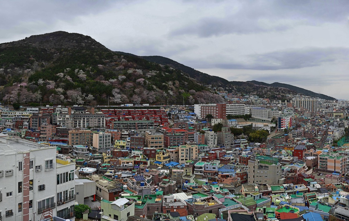 섬 중심부에 있는 렌터카