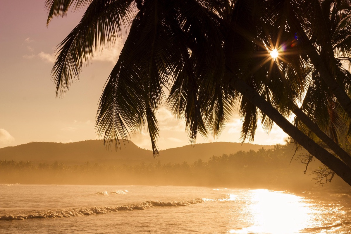 tropical island with rental car