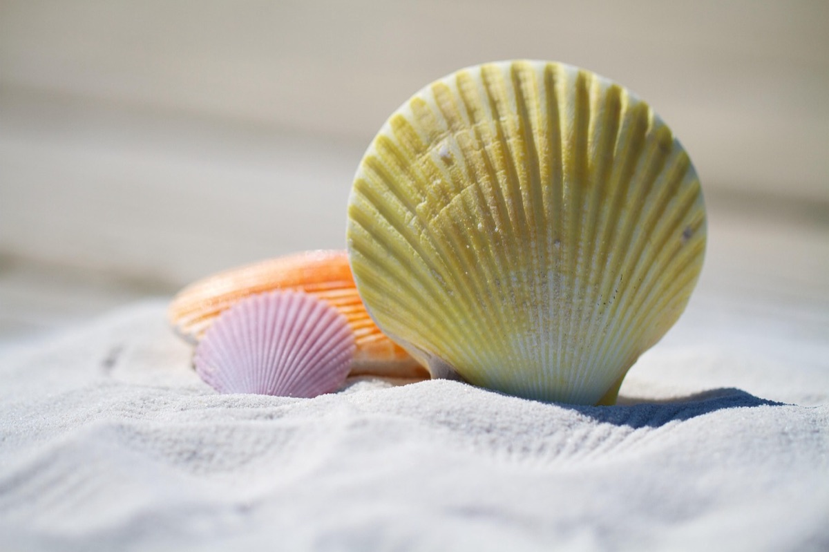 una spiaggia bianca con acqua blu