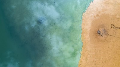 想探索文化或追求靜謐？莫里求斯 vs 塞席爾深度比較