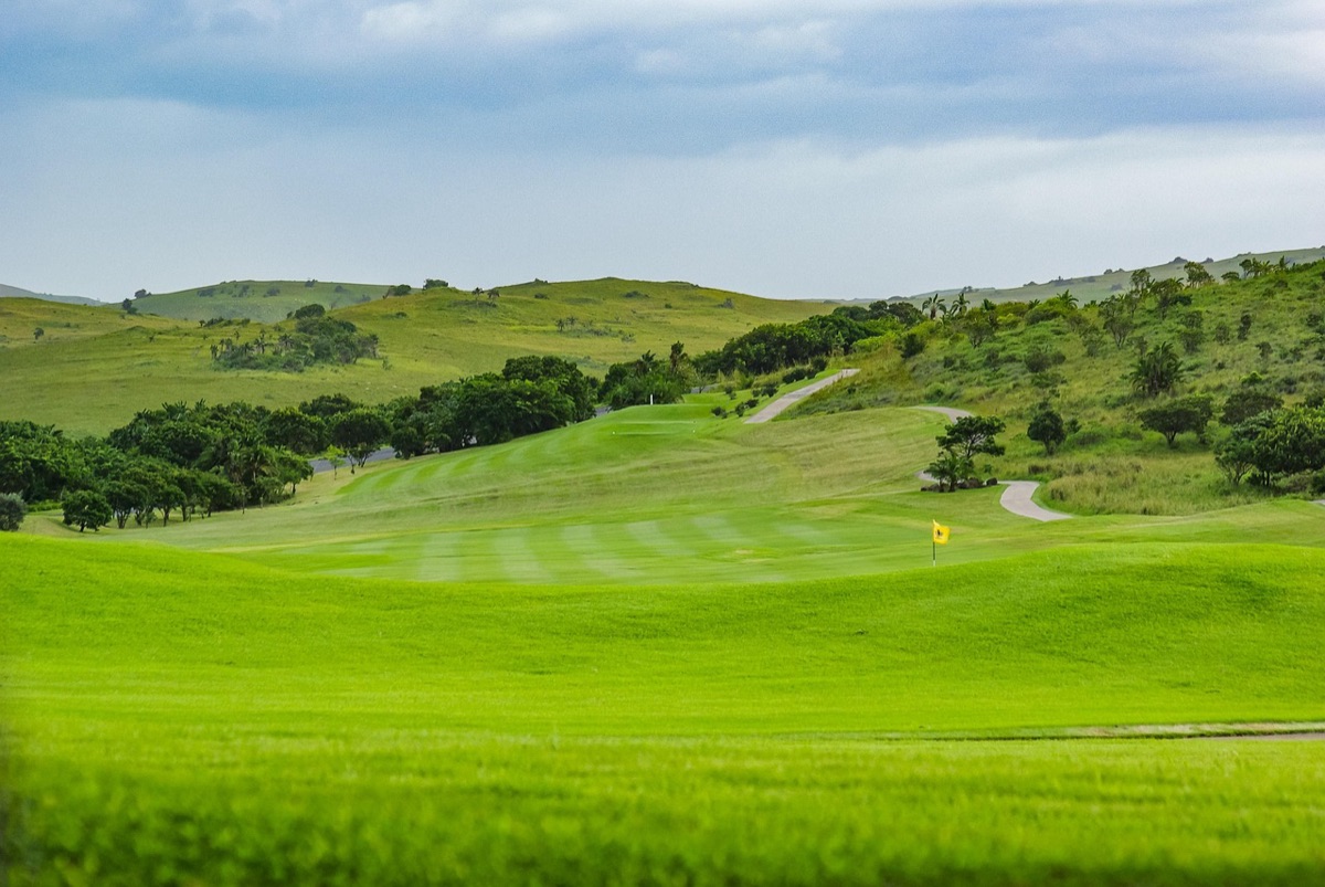 Mauritius golf course with tropical trees