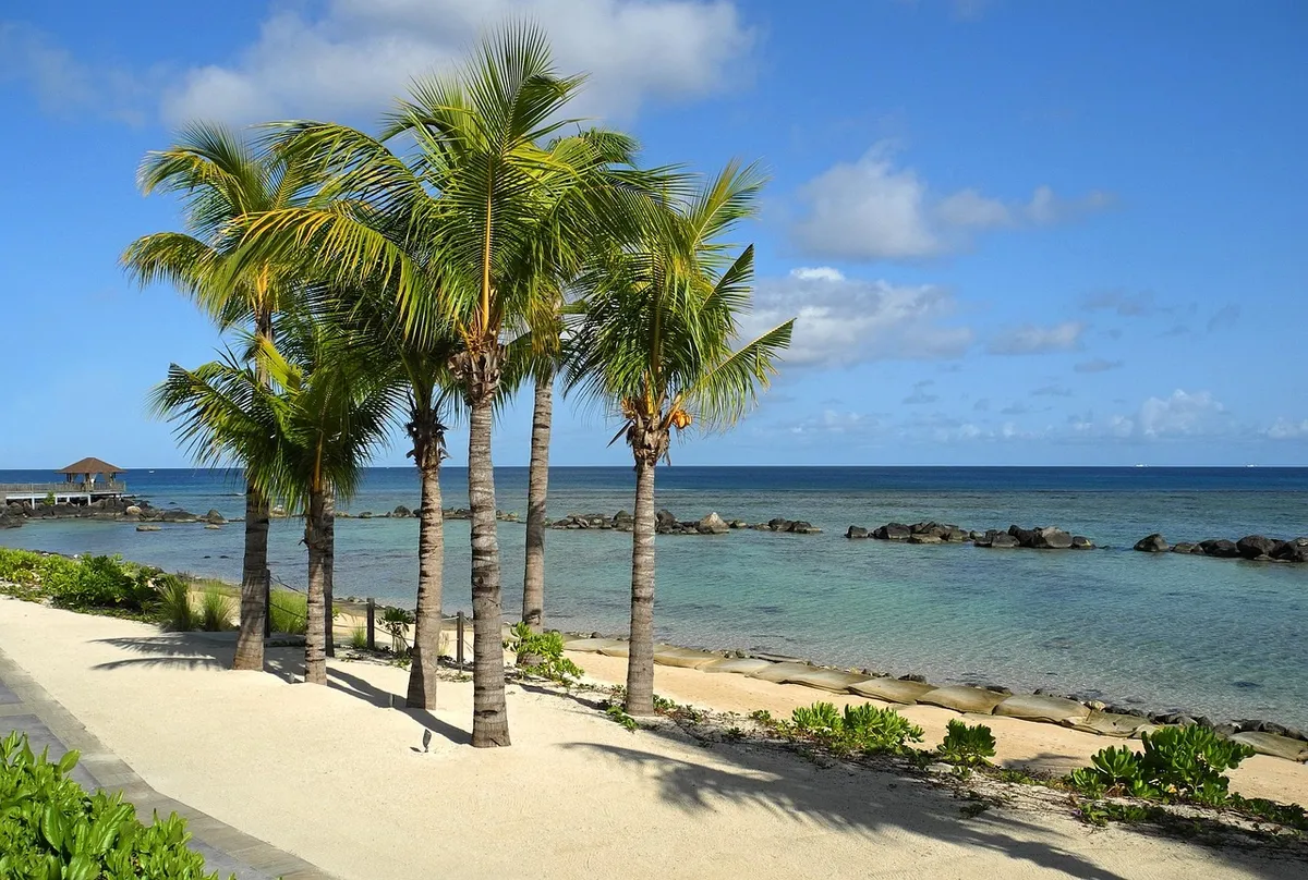 mauritius, holiday, travel, beach, ocean, sky, country, nature, water, scenery, palm trees, romance, paradise
